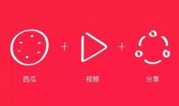 七点爆料西瓜视频,西瓜视频背后的秘密大揭秘